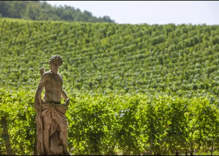 Chateau De La Riviere Отель типа 